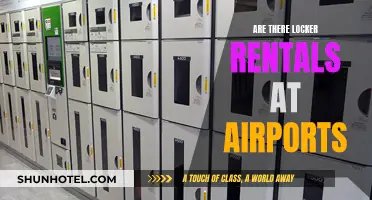 Airports With Lockers: Renting Storage for Your Travel Needs