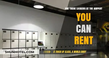 Lockers at the Airport: Renting Options and Availability