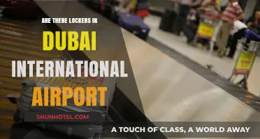 Dubai Airport Lockers: Availability, Locations, and Usage Guide