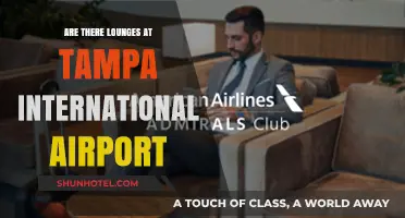 Discover Tampa International Airport's Lounges: Relaxation and Comfort Await
