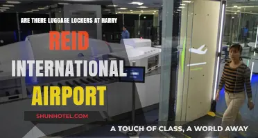 Harry Reid Airport Luggage Lockers: Availability and Location Guide
