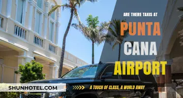 Punta Cana Airport Taxi Services: Available Options