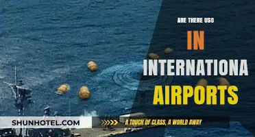 Unidentified Submerged Objects: Fact or Fiction in International Airports?