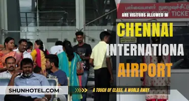 Chennai International Airport Visitor Policy: Are Guests Allowed Inside?