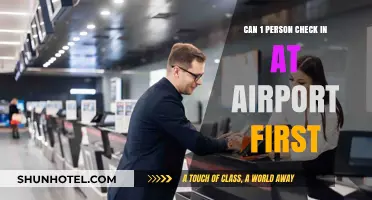 Airport Check-In: One Person's Priority