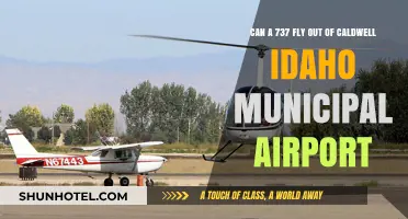 Small Town, Big Dreams: Can 737 Take Off?