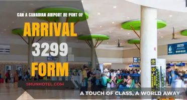 Canadian Airports: Understanding the 3299 Form