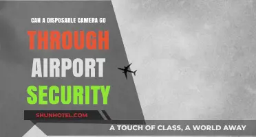 Disposable Cameras: Airport Security Clearance?