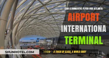 Domestic Flyers: Can I Use Atlanta Airport's International Terminal?