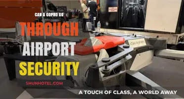GoPro Through Airport Security: What to Know