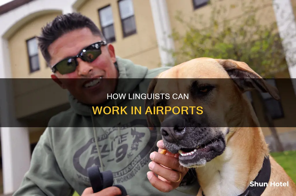 can a linguist work in an airport