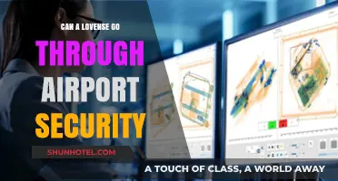 Airport Security and Lovense: What You Need to Know