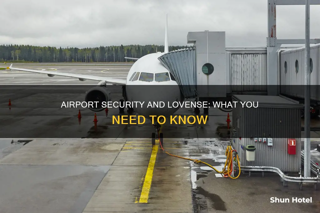 can a lovense go through airport security