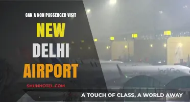 Exploring New Delhi Airport Without Flying