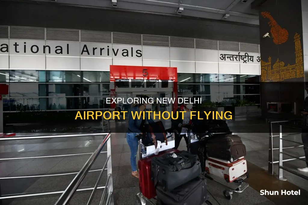 can a non passenger visit new delhi airport