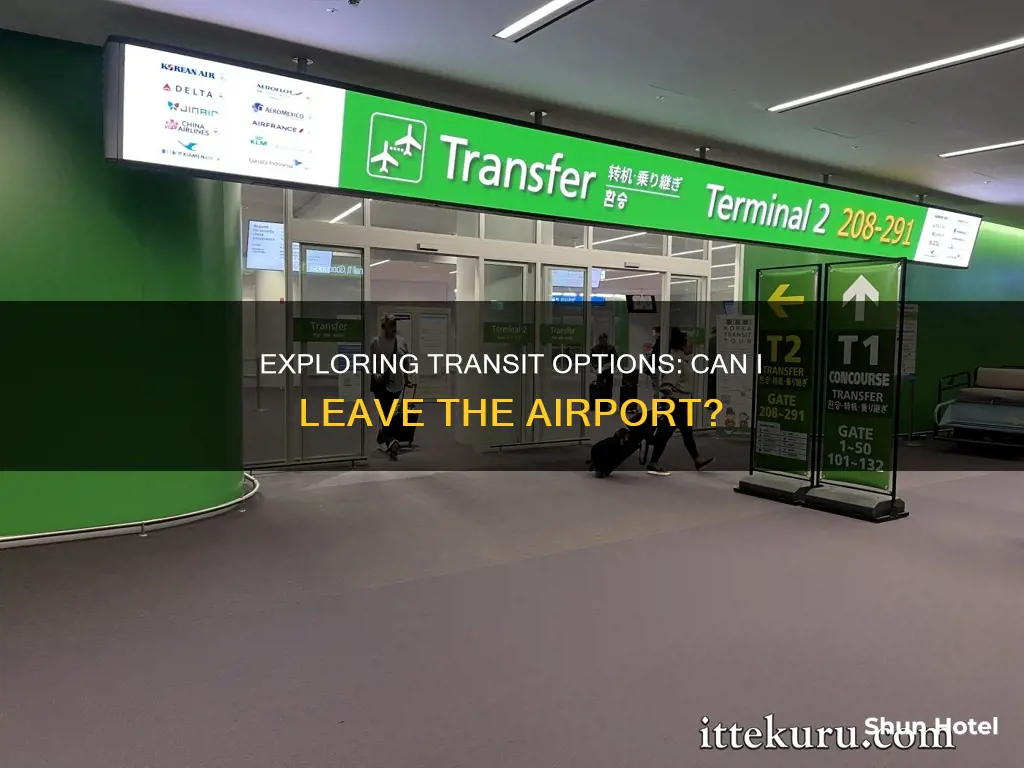 can a passenger leave airport in transit in domestic flight