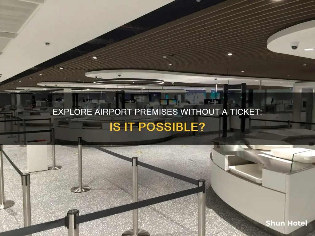 can a person enter airport without ticket