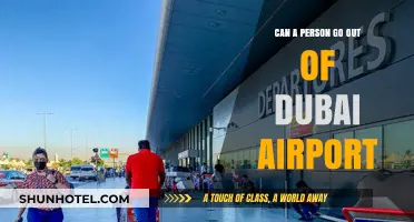 Exploring Dubai: Can You Leave the Airport?