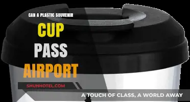 Souvenir Cup Travel: Airport Security Clearance?