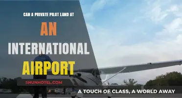 Private Pilots: Landing Privately at International Airports