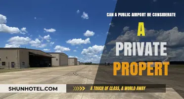 Airport Ownership: Public Access, Private Property?