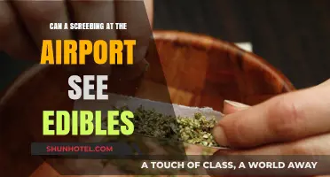 Airport Security: Can They Detect Edibles?