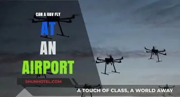 UAVs at Airports: Friend or Foe?