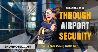 Traveling with a Vibrator: Airport Security Concerns