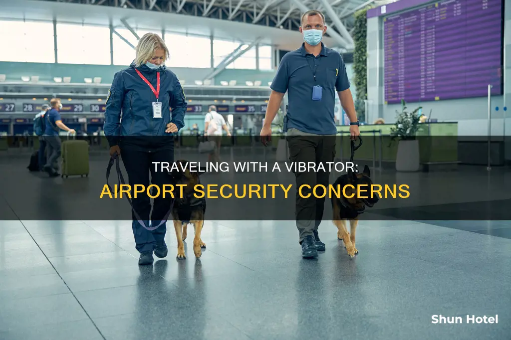 can a vibrator go through airport security