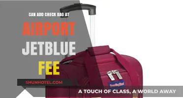 JetBlue's Checked Baggage Fee: What You Need to Know