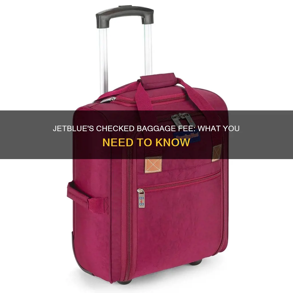 can add check bag at airport jetblue fee