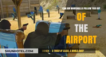 Air Marshalls: Tracking You Beyond the Airport