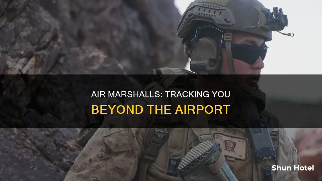 can air marshalls follow you out of the airport