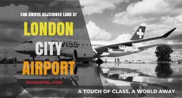 Airbus ACJ319neo: Can It Land at London City Airport?