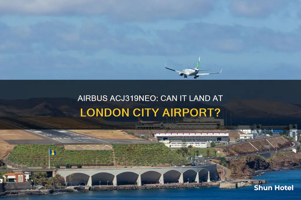 can airbus acj319neo land at london city airport