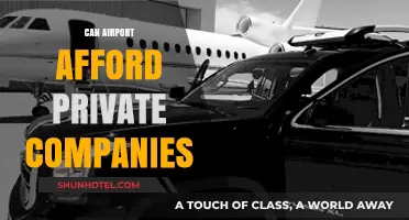 Airport Privatization: Can Private Companies Afford to Take Over?