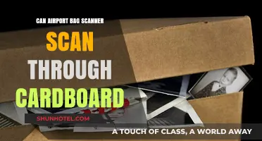 Airport Bag Scanners: Can Cardboard Fool the Machine?