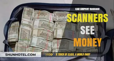 Airport Bag Scanners: Can They Detect Money?