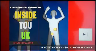 Airport Body Scanners: Can They See Inside You?