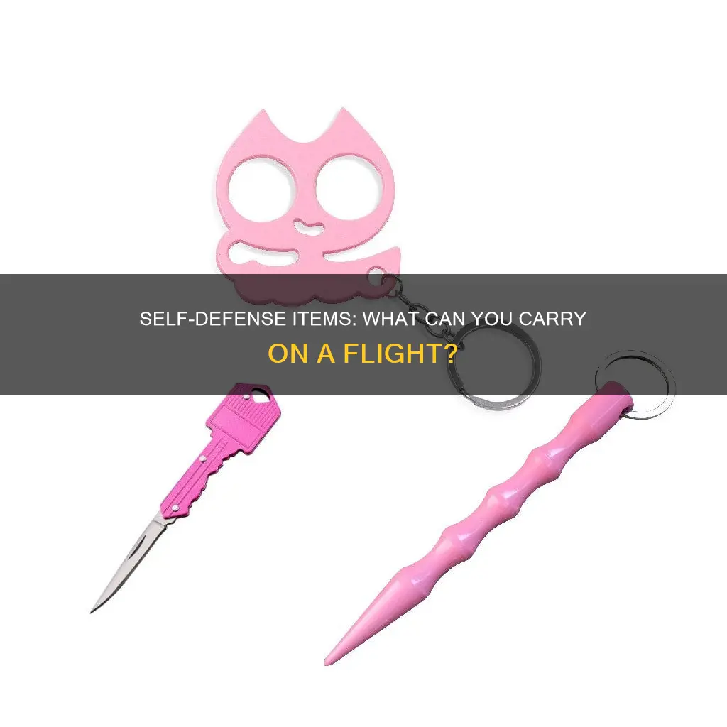 can airport carry on has defense stick in flight
