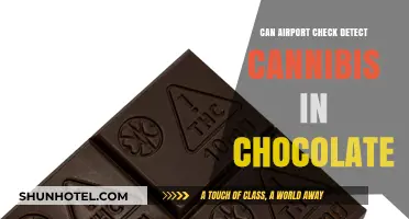 Airport Checks: Can They Sniff Out Cannabis Chocolates?