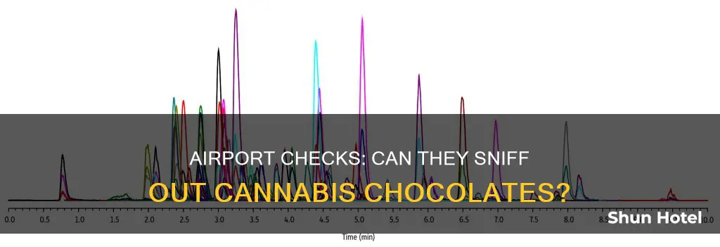can airport check detect cannibis in chocolate