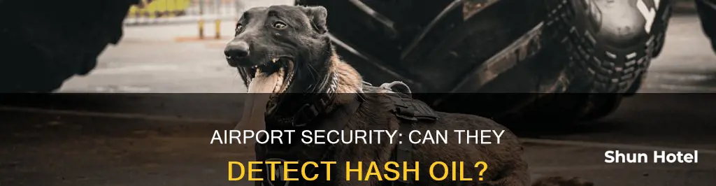 can airport detecr hash oil
