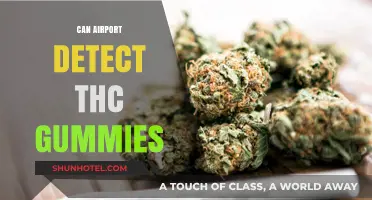 How Airports Sniff Out THC Edibles