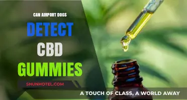 Airport Sniffer Dogs: Can They Detect CBD Gummies?