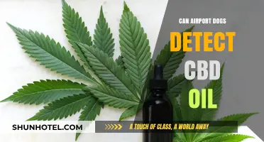 Airport Sniffer Dogs: Can They Detect CBD Oil?