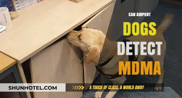 Airport Dogs: Can They Sniff Out MDMA?