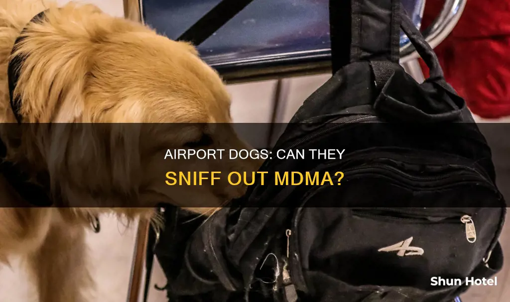can airport dogs detect mdma