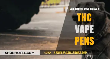 Airport Sniffer Dogs: Can They Detect THC Vape Pens?