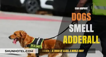 Airport Dogs: Can They Sniff Out Adderall?